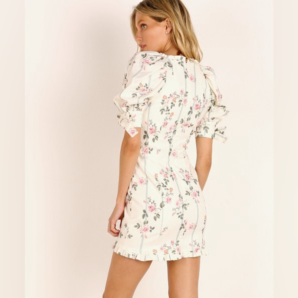 NWT For Love & Lemons Rose Stripe Mini Dress Floral Size XS - Picture 3 of 3